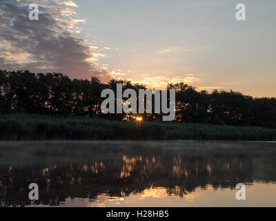 Sonnenaufgang im Fluss mit Reflex. Gespiegelte Waldgrenze am Fluss. Fantastische neblig Fluss mit frischen grünen Rasen in der sonnigen b Stockfoto