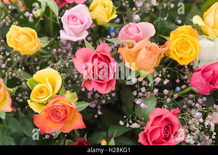 Verschiedene bunte Rose Blumensträuße Stockfoto