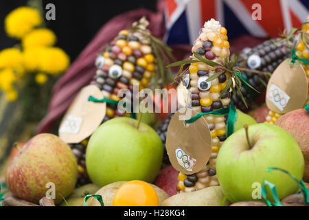 Gold Medaille tragen, Mais und Äpfel display Stockfoto