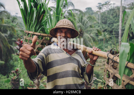 Schuss von glücklich senior Farmer Daumen aufgeben. Ältere Mann lächelnd und tragen ein Joch auf den Schultern mit Setzlingen. Stockfoto