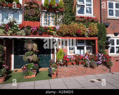 Terrasse-Häuser mit Flora Anzeige in voller Blüte, Albert Road, Southsea, Portsmouth, Hampshire, England, UK Stockfoto