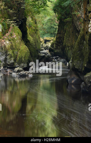 Fluss Conway fließt durch eine Schlucht, bekannt als der Fairy Glen in Nord-Wales in der Nähe von Betws y coed Stockfoto