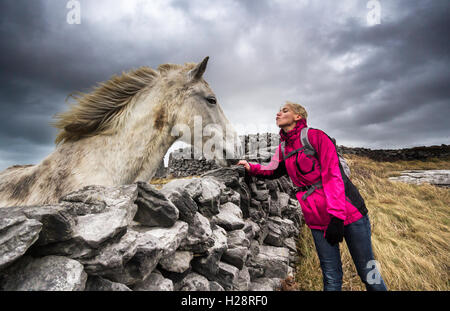 Teenager-Mädchen, Pferd, Bayerisches Warmblut, stehend, küssen, Seitenansicht Stockfoto