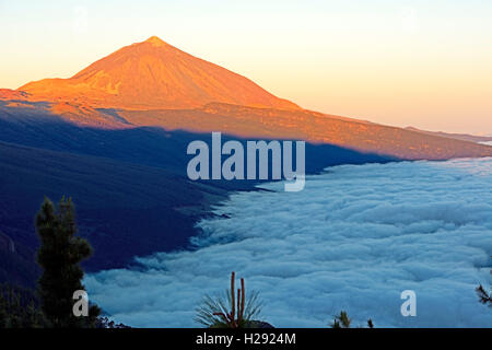 Sonnenaufgang auf dem Berg Teide, Handel Wind Wolken, Chipeque Viewpoint, Nationalpark Teide, Teneriffa, Kanarische Inseln, Spanien Stockfoto