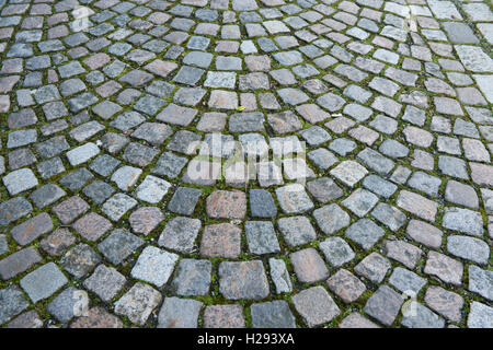 Norwegen, Bergen, UNESCO Weltkulturerbe-Stadt. Detail der typische gepflasterte Straße. Stockfoto