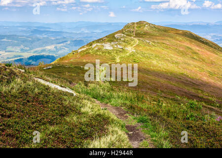 kurvenreiche Straße durch große Wiesen am Hang des Gebirges Stockfoto