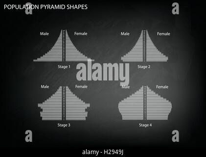 Bevölkerung und Demografie, Illustration-Satz von 4 Arten von Bevölkerung Pyramiden Diagramm oder Altersstruktur Graph an schwarze Tafel B Stock Vektor
