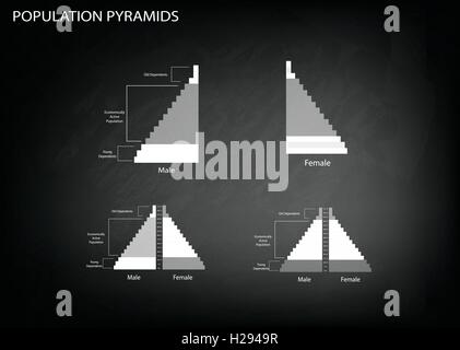 Bevölkerung und Demografie, Illustration der Detaillierungsgrad der Bevölkerung Pyramiden Diagramm oder Altersstruktur Graph auf schwarze Tafel Backgr Stock Vektor