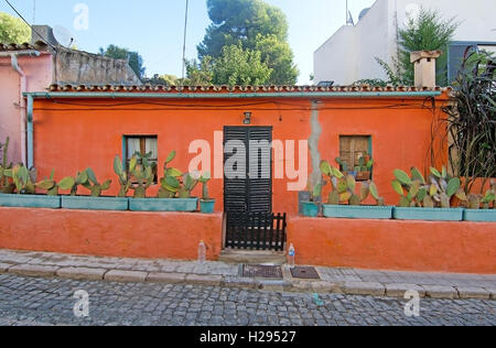 Haus mit Charme orange mit grüner Kaktuspflanzen in El Terreno Gasse an einem sonnigen Morgen Stockfoto