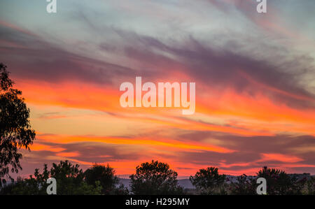 Feuriges Rot und orange Spanisch andalusischen Sonnenuntergang mit Wolkenfetzen und Silhouette Bäume und Sträucher im Vordergrund, Stockfoto