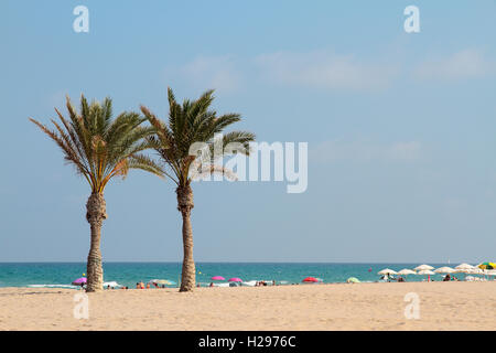 Strand Landschaft mit Palmen auf der linken Ecke in Playa de San Juan, Alicante-Spanien Stockfoto