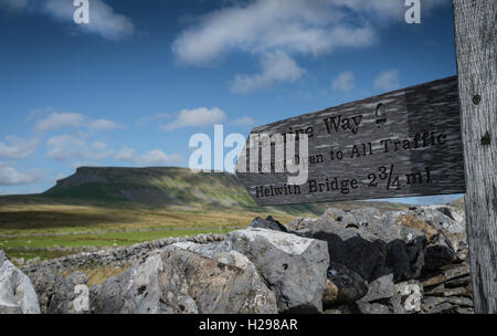 Pennine Way Schild mit Penyghent in den Hintergrund, Yorkshire Dales, UK. Stockfoto