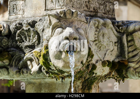 VALENSOLE, ALPES DE HAUTE PROVENCE, FRANKREICH 04 Stockfoto