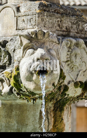 VALENSOLE, ALPES DE HAUTE PROVENCE, FRANKREICH 04 Stockfoto