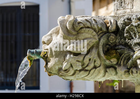 VALENSOLE, ALPES DE HAUTE PROVENCE, FRANKREICH 04 Stockfoto