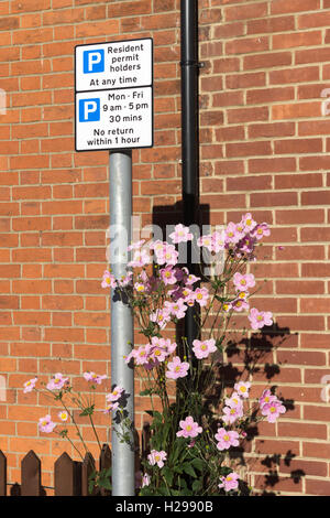 Ein Bewohner ermöglichen Inhaber nur Parkplatz Zeichen in Basingstoke Stockfoto