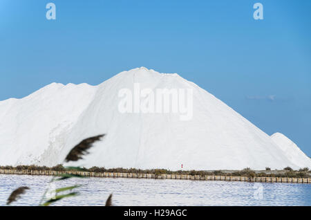 AIGUES MORTES, CAMARGUE, LES SALINS, GARD FRANKREICH 30 Stockfoto