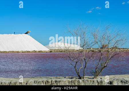 AIGUES MORTES, CAMARGUE, LES SALINS, GARD FRANKREICH 30 Stockfoto