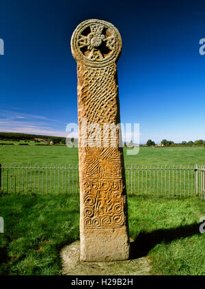 E Gesicht Maen Achwyfan Kreuz, eine späte C10th unter der Leitung von CD Strecke überqueren noch in seine ursprüngliche Position in der Nähe von Whitford, Flintshire. Stockfoto