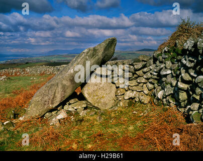 Bron y Foel Isaf Grabkammer, Gwynedd: Überreste eines neolithischen Portal Dolmen in ein Feld Wand im Hochland von Ardudwy integriert. Stockfoto
