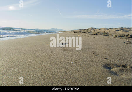 Spuren am Strand; Stockfoto