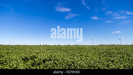 Windkraftanlagen in einem Feld von Kansas. Stockfoto
