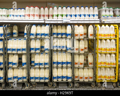 Supermarkt-Anzeige der verschiedenen Arten von Milch Stockfoto