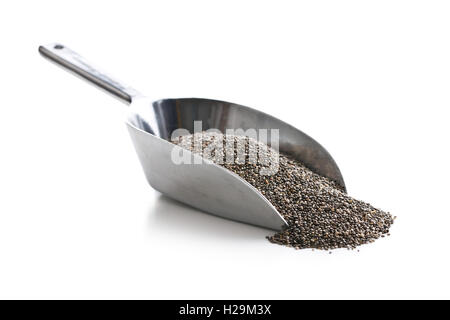 Chia-Samen in Metall Kugel isoliert auf weißem Hintergrund. Gesunde Superfood. Stockfoto