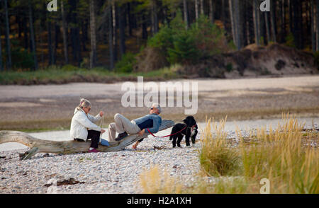 Ein paar entspannende mit ihrem Hund auf Kieselsteinen am Findhorn Bay Beach befindet sich in Schottland Stockfoto