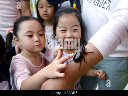 26. September 2016 - schreit Wanjugun, Provinz Jeollabuk-Do, Südkorea - ein kleines Mädchen mit lebenden Beatle Wanju Wild Food Festival. © Min Won-Ki/ZUMA Draht/Alamy Live-Nachrichten Stockfoto