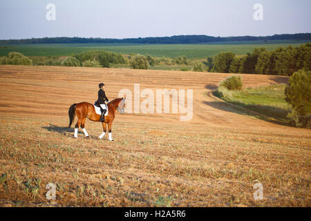 Frau ein Pferd reiten. Equestrian Sportlerin jockey Stockfoto