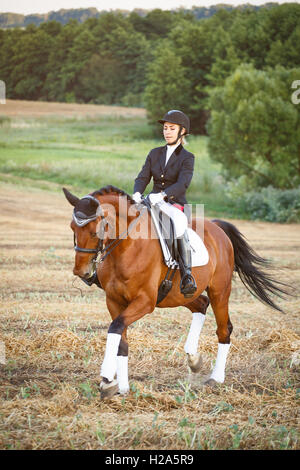 Frau ein Pferd reiten. Equestrian Sportlerin jockey Stockfoto