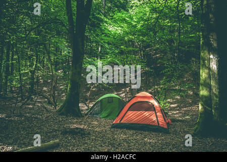 Campingplatz mit zwei Zelte in einem grünen Wald Stockfoto