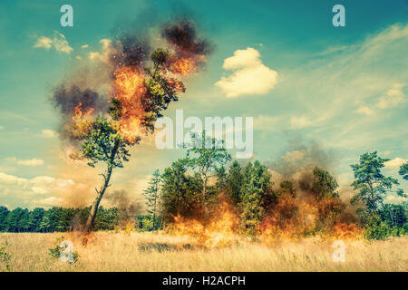 Baum in Flammen auf einem trockenen Feld im Sommer Stockfoto