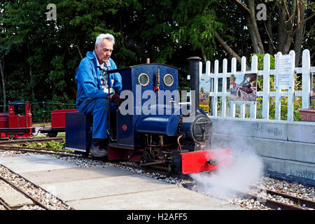 Stolzer Besitzer fährt ein 7,25 Zoll Spurweite Live Steam Modell Lokomotive bei Burseldon Ziegelei Miniatur-Eisenbahn. Stockfoto