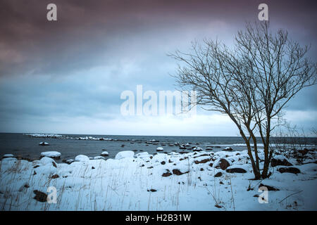 Winter-Meer. kalten dunklen Tag in Nordeuropa Stockfoto