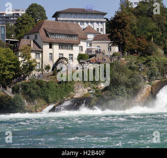 Rheinfalls, Schaffhausen Schweiz Stockfoto