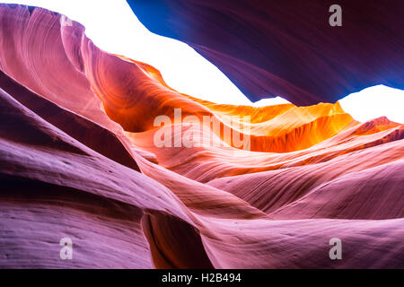 Bunte Sandstein Formation, Auflicht, Lower Antelope Canyon, Slot Canyon, Page, Arizona, USA Stockfoto