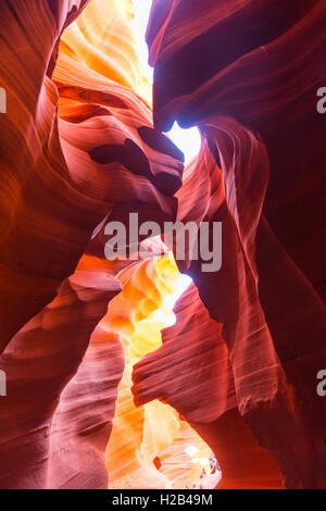 Bunte Sandstein Formation, Auflicht, Lower Antelope Canyon, Slot Canyon, Page, Arizona, USA Stockfoto