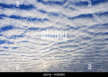 Stripy Wolkenbildung, Makrele Himmel (Stratocumulus undulatus), Niedersachsen, Deutschland Stockfoto