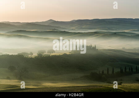 Typische Grün der toskanischen Landschaft im Val d'Orcia, Bauernhof auf einem Hügel, Felder, Zypresse (Cupressus sp.) Bäume und Morgennebel bei Sonnenaufgang Stockfoto