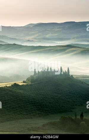 Typische Grün der toskanischen Landschaft im Val d'Orcia, Bauernhof auf einem Hügel, Felder, Zypresse (Cupressus sp.) Bäume und Morgennebel bei Sonnenaufgang Stockfoto