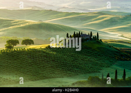 Typische Grün der toskanischen Landschaft im Val d'Orcia, Bauernhof auf einem Hügel, Felder, Zypresse (Cupressus sp.) Bäume und Morgennebel bei Sonnenaufgang Stockfoto