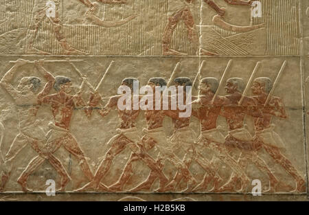 Ägypten. Sakkara. Mastaba des Ti. Relief Darstellung landwirtschaftliche Szene. Detail. 5. Dynastie. Altes Königreich. Stockfoto