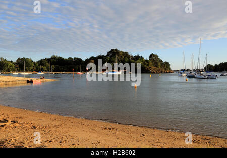 Blick auf Port Anna von Plage an Ile de Conleau, Vannes, Morbihan, Bretagne, Frankreich Stockfoto