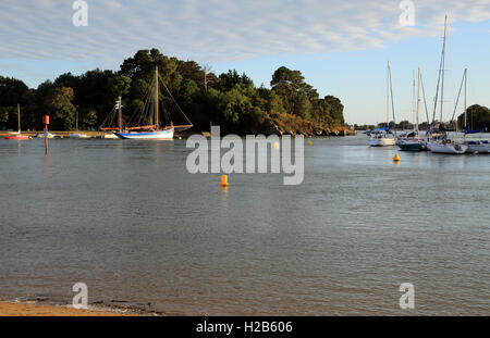 Blick auf Port Anna von Plage an Ile de Conleau, Vannes, Morbihan, Bretagne, Frankreich Stockfoto