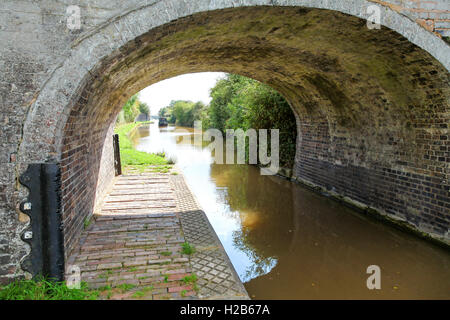 Bridge-Nummer 80, Bennett Brücke auf dem Shropshire-Union-Kanal bei Audlem Cheshire England UK Stockfoto