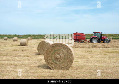 Runde Heuballen, Shingle Street, Suffolk, UK. Stockfoto