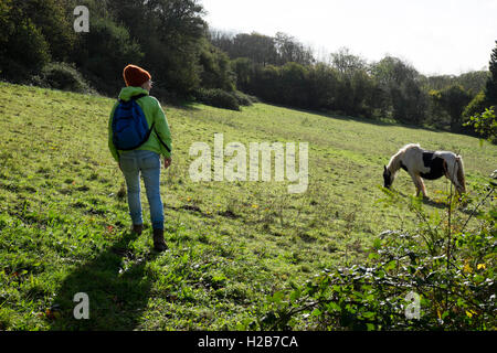 Frau zu Fuß auf ein Publc Wanderweg im Feld mit einem Pferd grasen, in der Nähe von Pentyrch, Cardiff North, South Glamorgan, Wales, UK Stockfoto