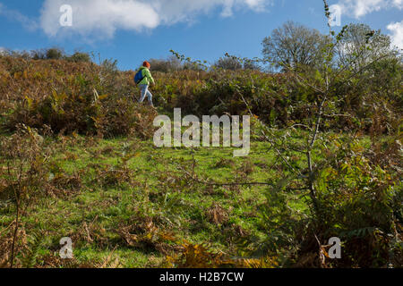 Frau zu Fuß auf ein Publc Wanderweg im Feld in der Nähe von Pentyrch, Cardiff North, South Glamorgan, Wales, UK Stockfoto